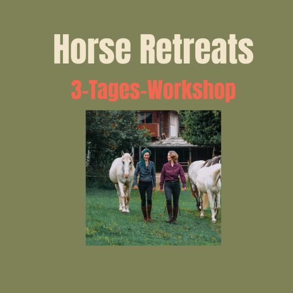 Horse Dialogue Retreats