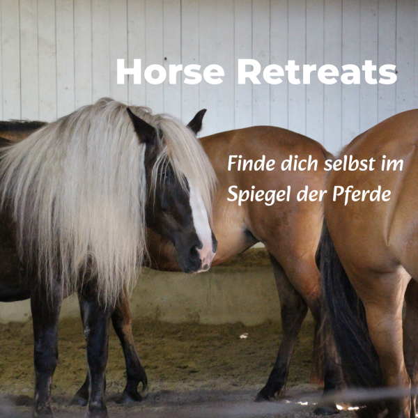 Frauenleuchten Retreat September