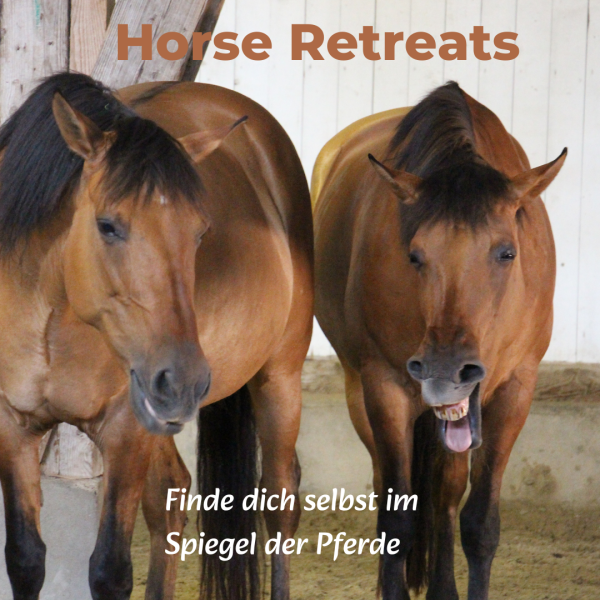 Frauenleuchten Retreat August